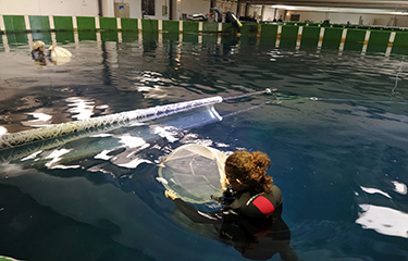 Researchers from the Murcia Oceanographic Center of the Spanish Institute of Oceanography.