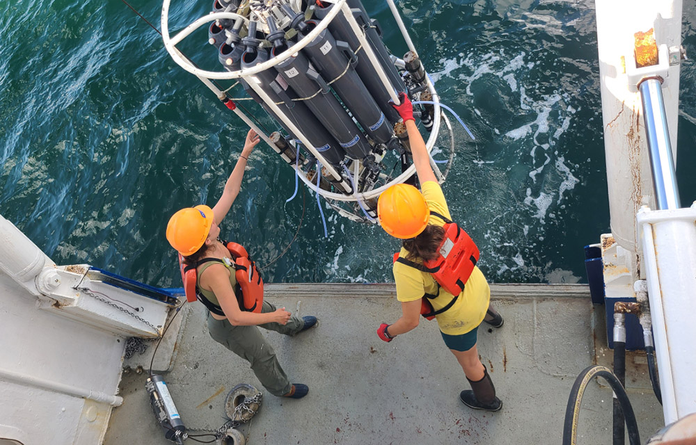 Scientists collecting data on the Gulf of Mexico dead zone