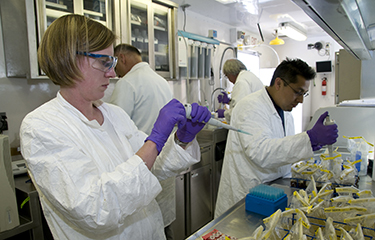 Scientists from the U.S. Food and Drug Administration conducting testing.