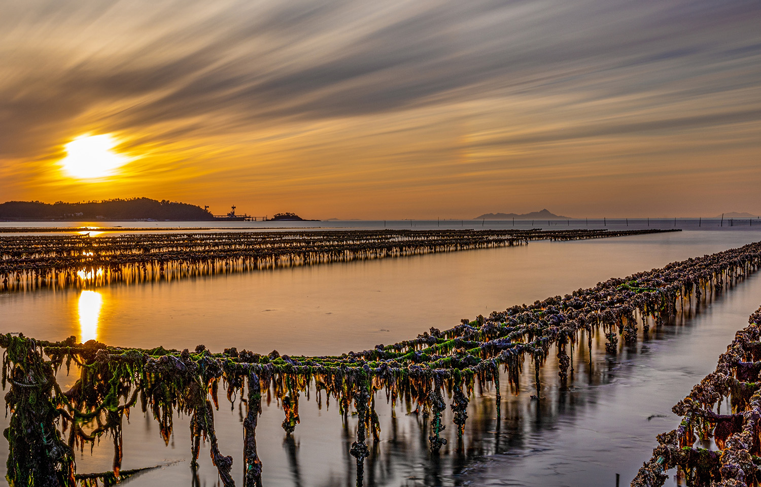 A seaweed farm in Taean-gun, South Korea