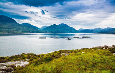A salmon aquaculture operation in Scotland.