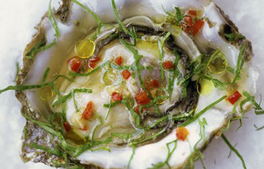 CulinaryCornerJamieOliverOysters-NL.jpg