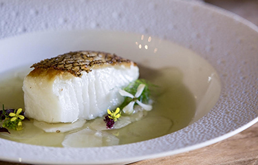 Victor Toothfish-NL.jpg