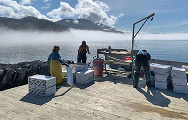 Scientific monitors at an oyster farm on the water.