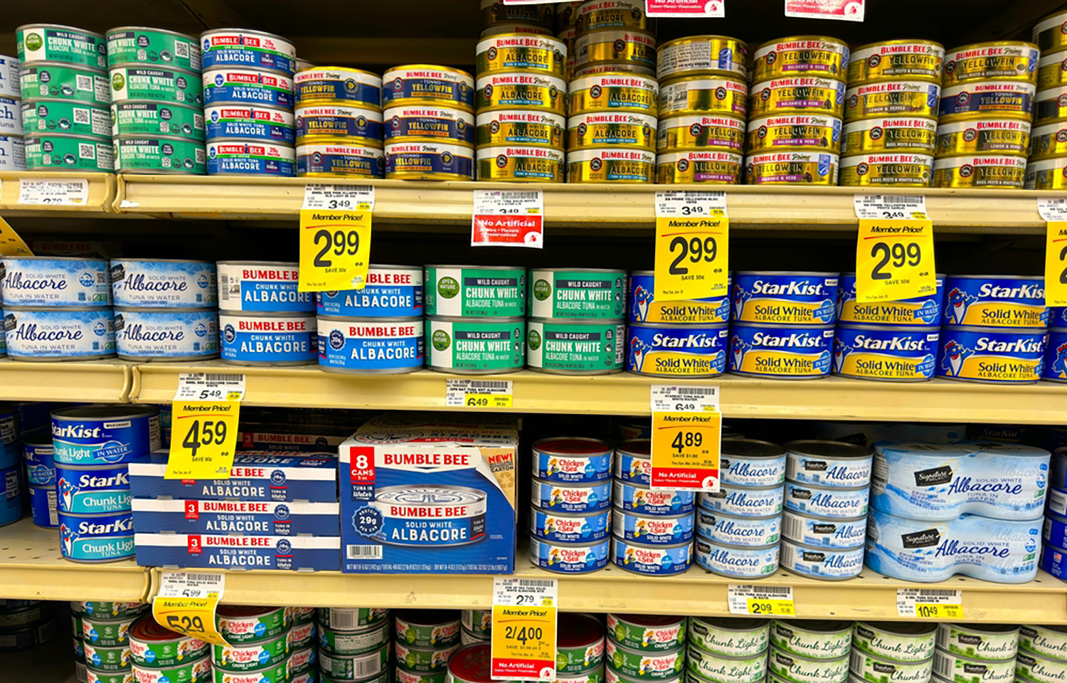 Canned tuna on a grocery store shelf