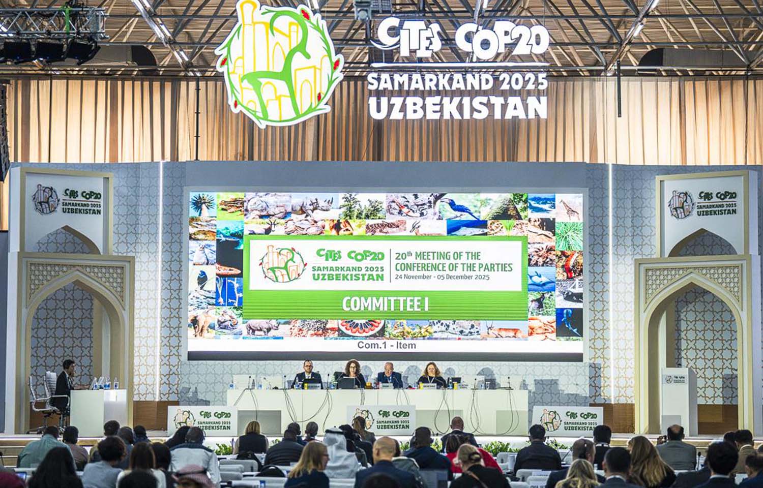 CITES adds broad protections for sharks, nixes proposals on eels and sea cucumbers