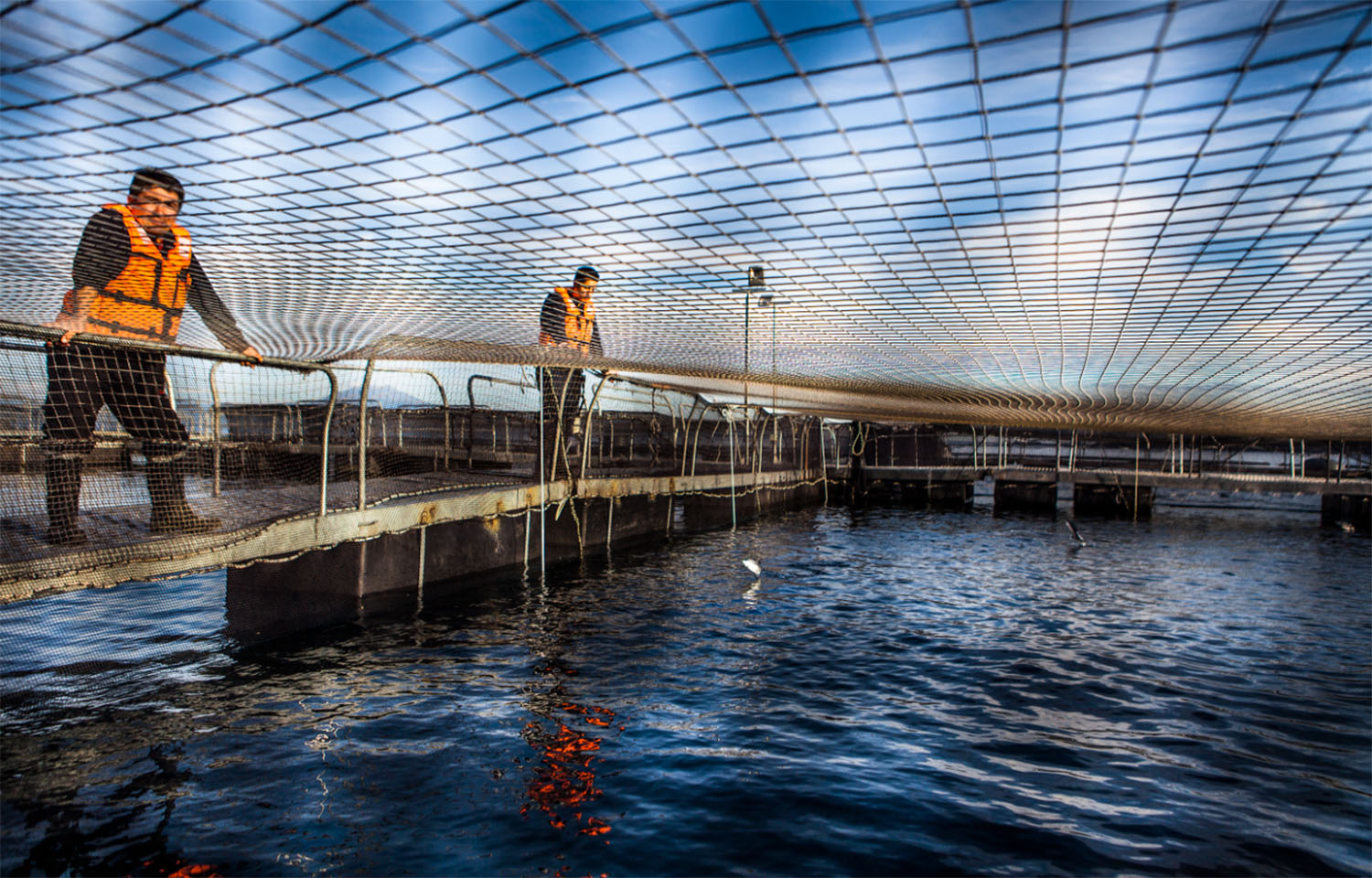 Salmones Camanchaca employees monitoring a net pen