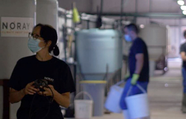 Noray Seafood said on Friday, 11 February it has raised EUR 16 million (USD 19.2 million) to accelerate expansion plans at its indoor shrimp farm in Medina del Campo, Spain.