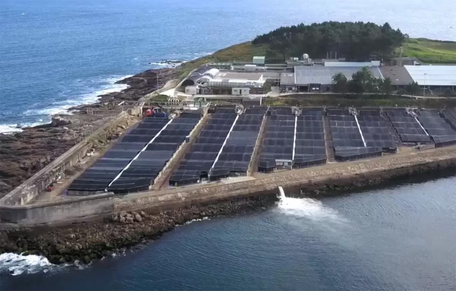 An aerial view of Stolt Sea Farm's facility in Spain