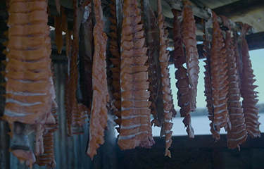 Chum salmon hang in a smokehouse.
