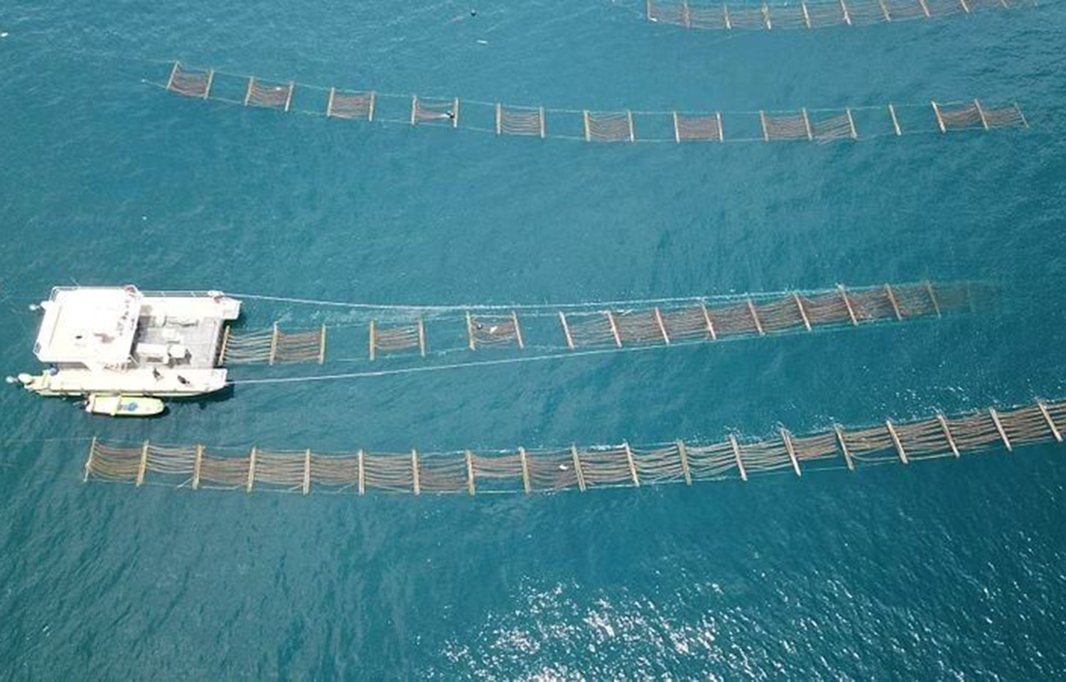 The Sea6 seaweed farm in Lombok, Indonesia