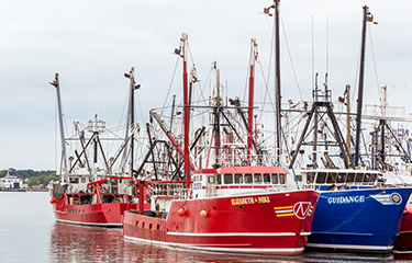 Massachusetts lawmakers call on government to help New England fisheries  during COVID-19 crisis