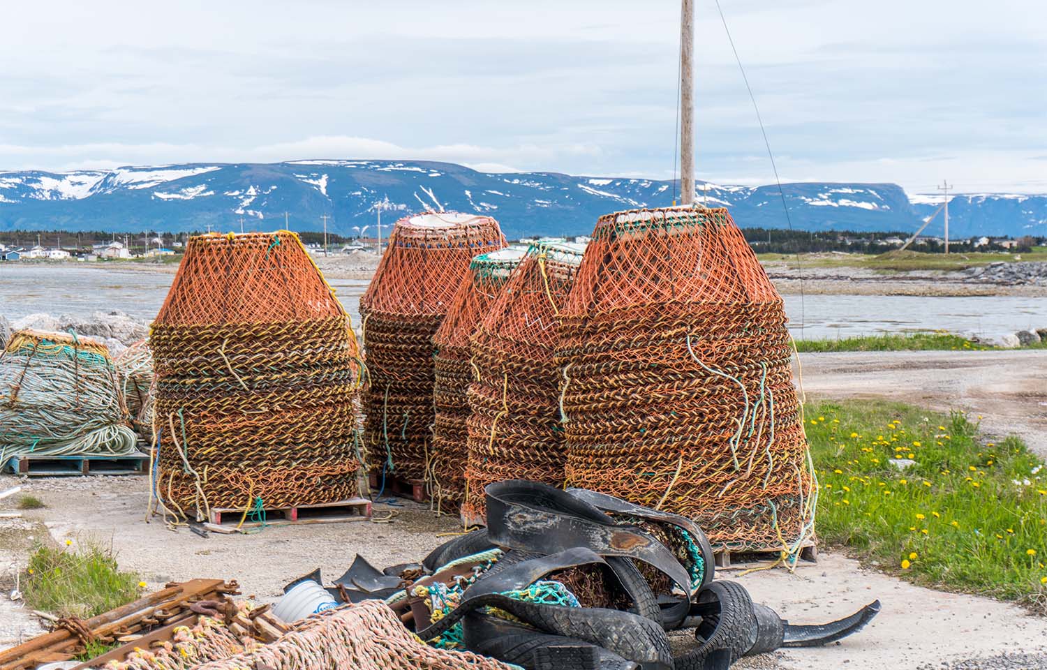 Newfoundland snow crab dispute continues; court issues injunction against harvester union
