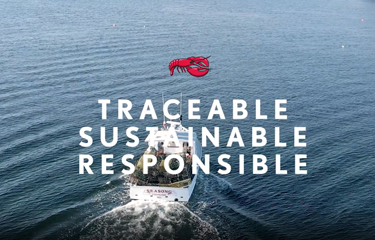 One of Red Lobster's campaign images about its seafood.