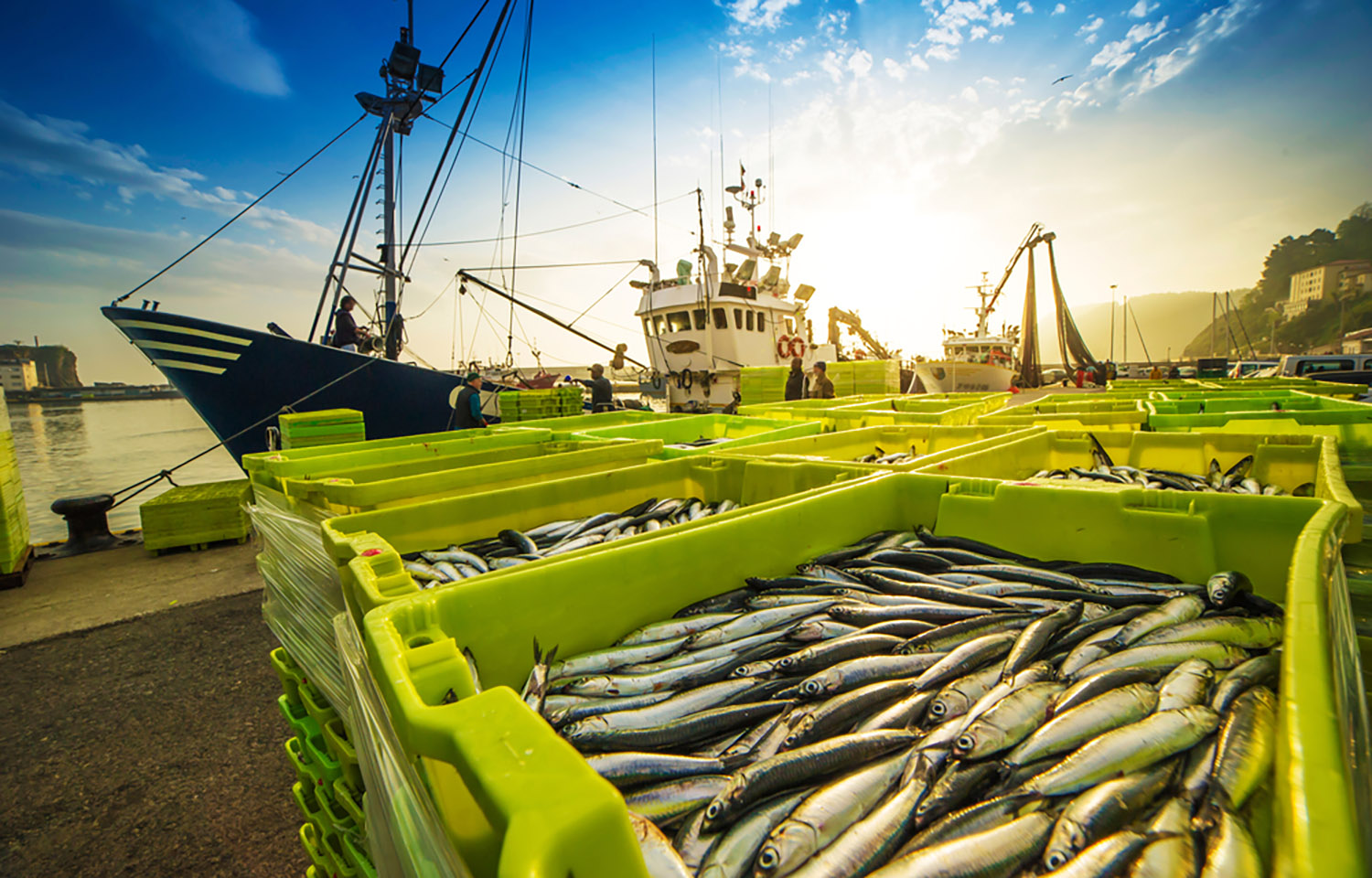 Fish in containers portside