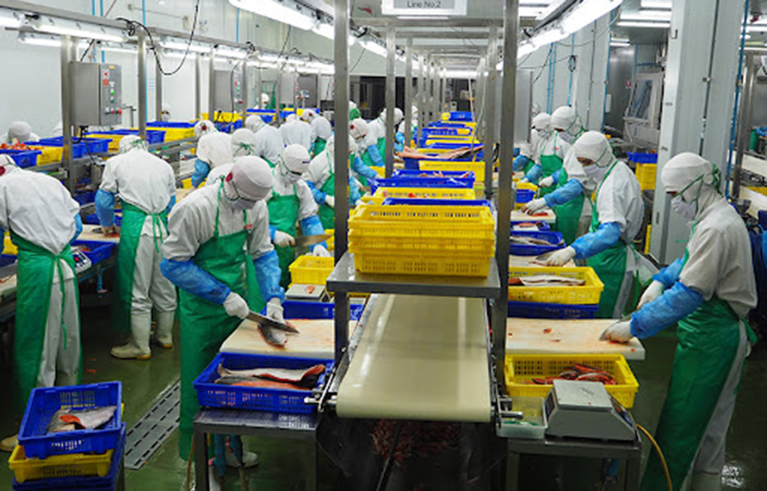Fish processing at Nissui's Thailand subsidiary