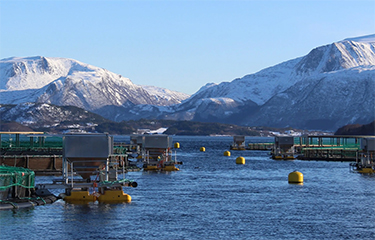 One of Nordic Halibut's aquaculture facility in Norway.