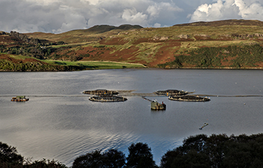 Aquaculture in scotland with dark clouds