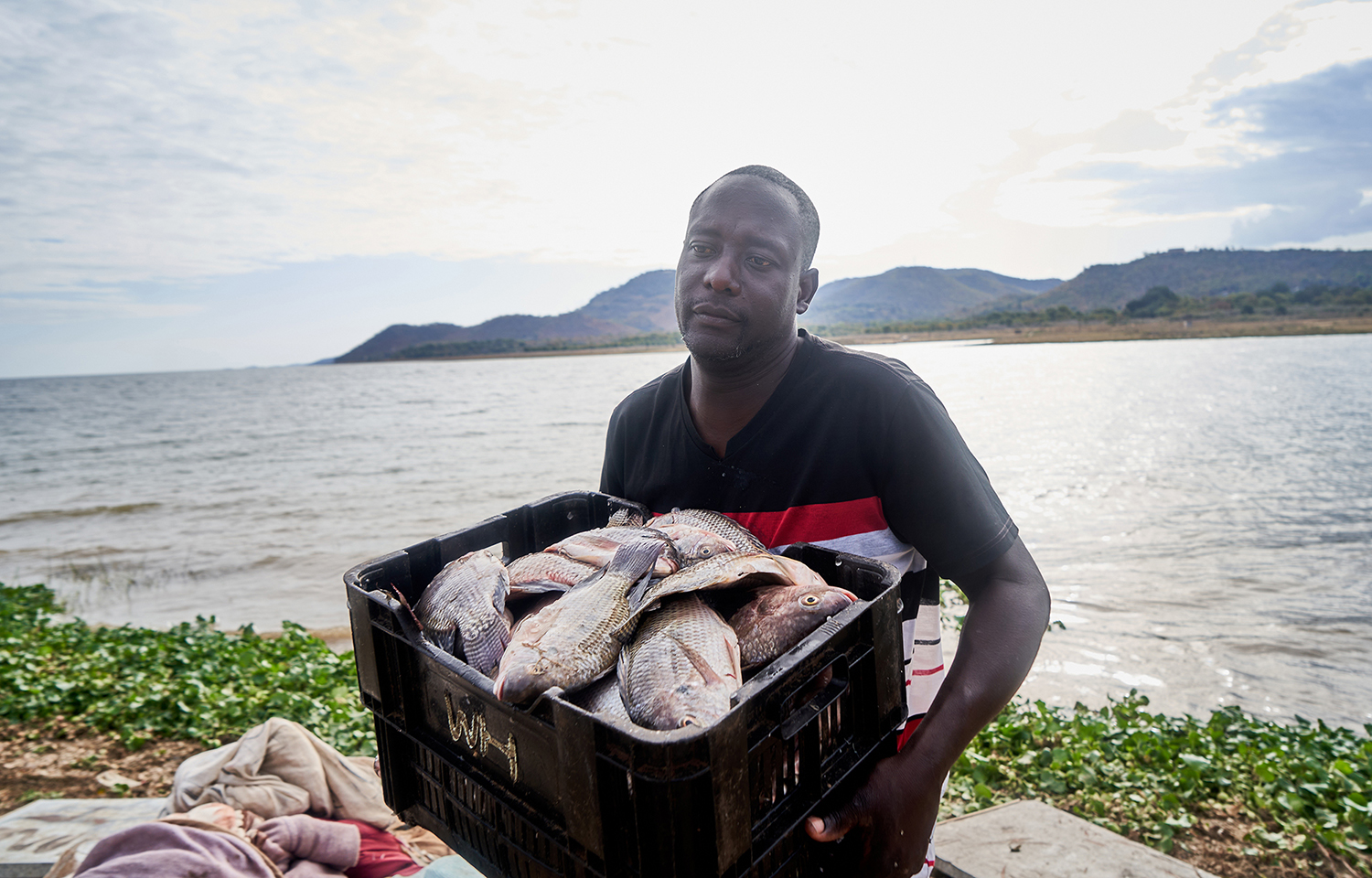 A Kenyan fish farmer