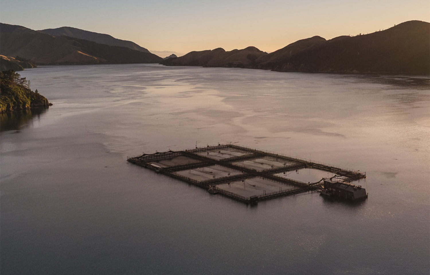 New Zealand King Salmon boosts earning expectations after strong summer farming period