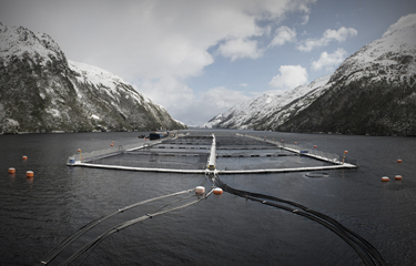 A salmon net pen located in an inlet between two mountain ranges in Chile.