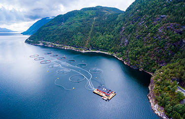 A salmon farm located in a fjord in Norway