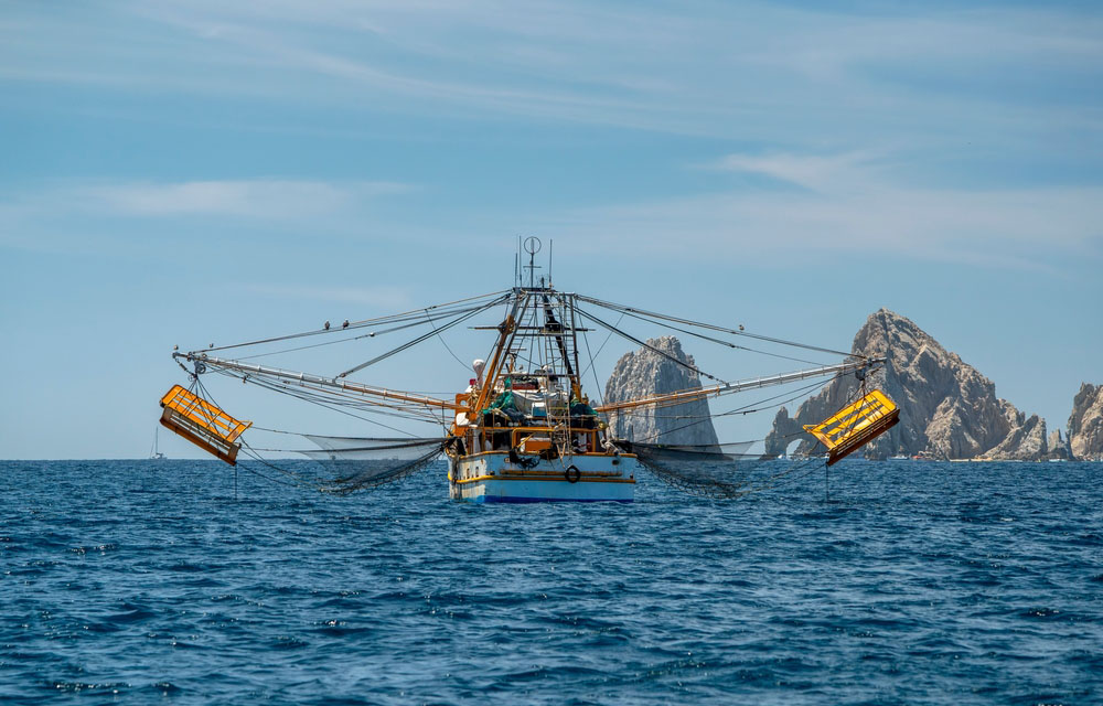 Mexico celebrates recertification of shrimp exports to the US