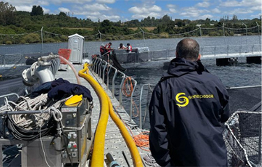 Officials with Sernapesca monitoring a salmon escape in Llanquihue Lake, in the Los Lagos region.
