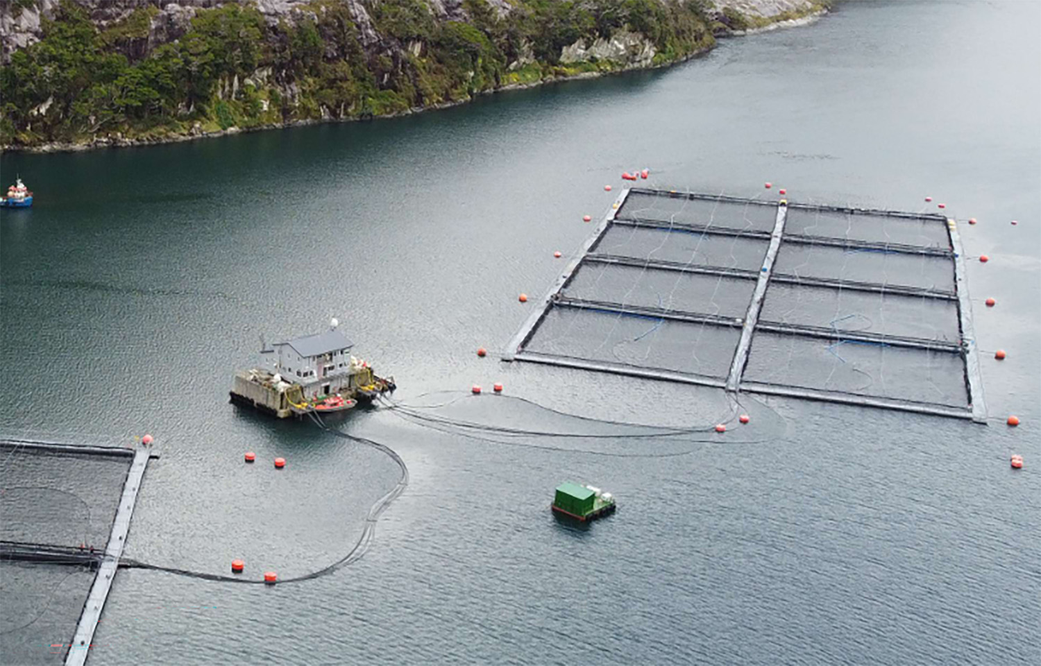 Nova Austral boasts antibiotic-free salmon production in latest sustainability report