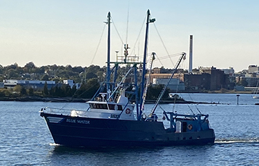 Blue Harvest defends its business amid rumored DOJ probe into New England  groundfish rules