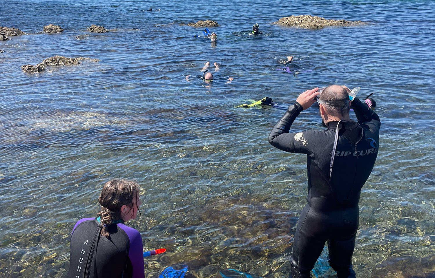 Snorkelers at the Tasmanian event