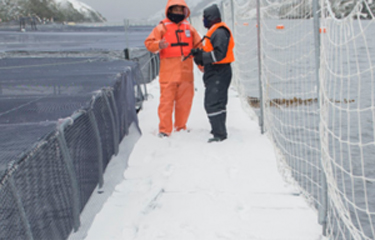 Chile’s environment regulation agency has fined salmon farmer Nova Austral CLP 1.23 billion (USD 1.56 million, EUR 1.32 million) for inadequate mortality and solid-waste management.