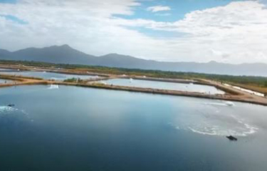 Project Sea Dragon's test ponds for its shrimp aquaculture operation.