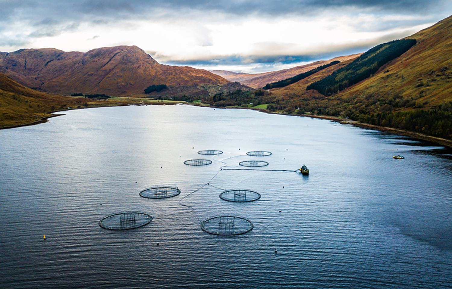 A salmon-farming operation in the Scottish highlands.