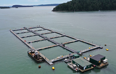 A Cooke Aquaculture net-pen farm in the U.S. state of Washington.