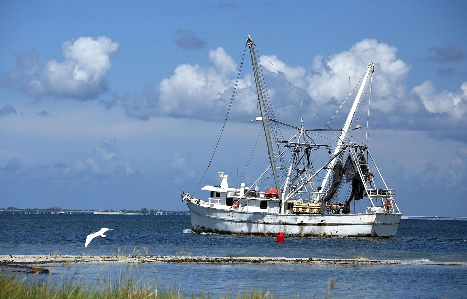 A shrimp vessel