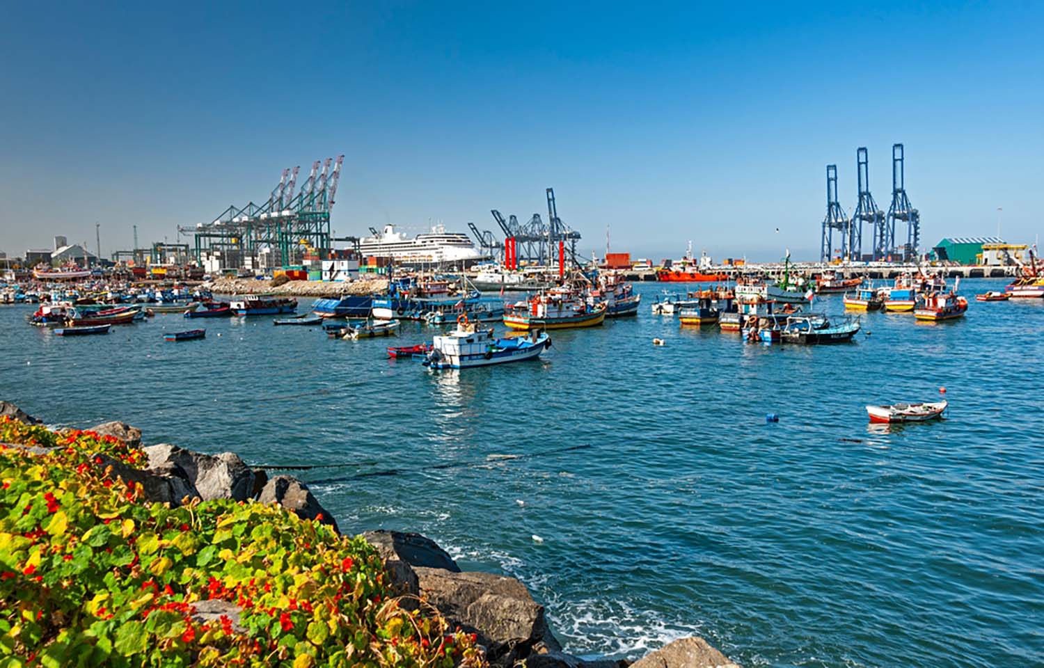 Environmental NGO claims Chile is complicit in servicing increasing numbers of vessels linked to IUU fishing