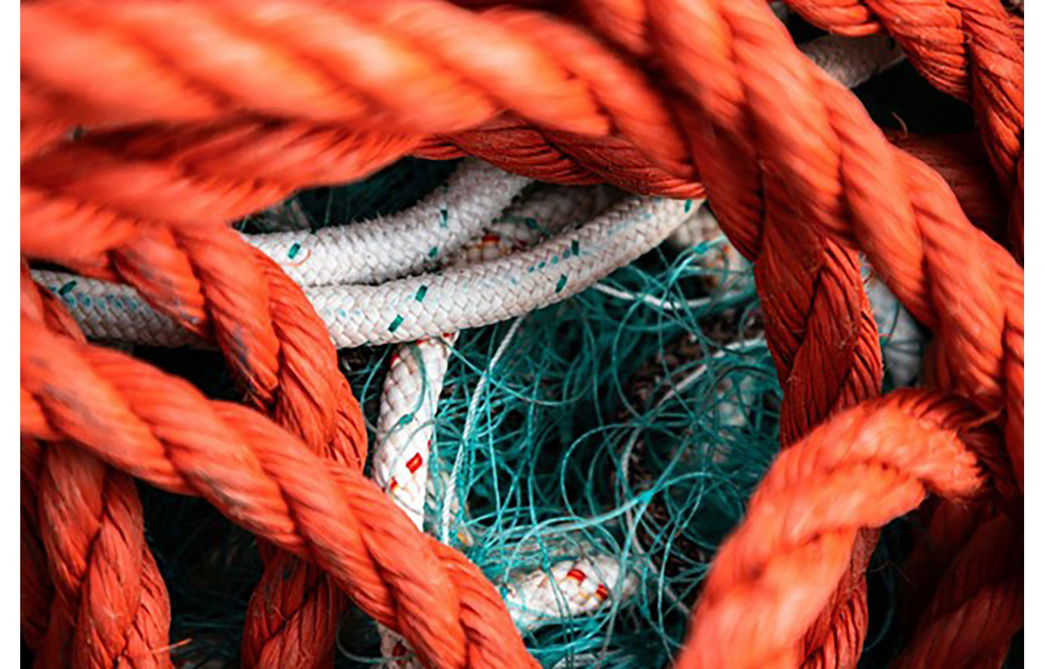 Ropes from fishing gear