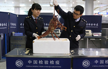 chinasmuggling-NL.jpg