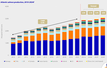 News - Trend Forecast in coming winter 2021,2022–Second Round of Price  Increase