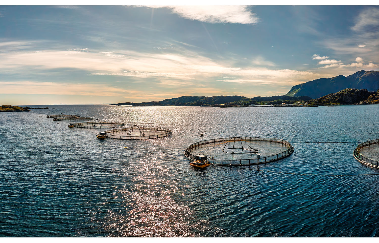 Net pens