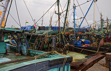 US ban on Indian wild-caught shrimp maintained, could cost fishermen USD  300 million