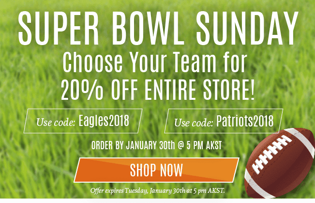 Top5SuperBowl-3.png