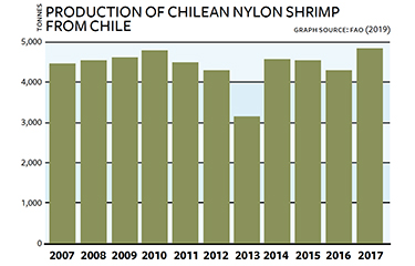 SS-IMG-2019-11-19-ProductionChileanNylonShrimp.jpg
