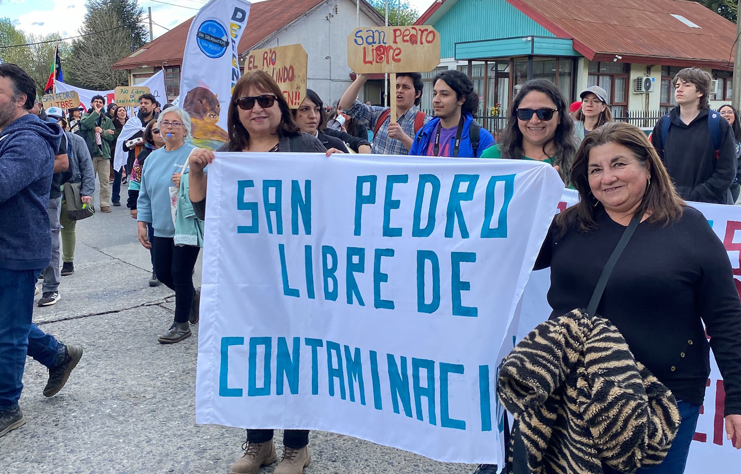 Salmones Antártica ordered to stop work on its USD 17 million fish farm