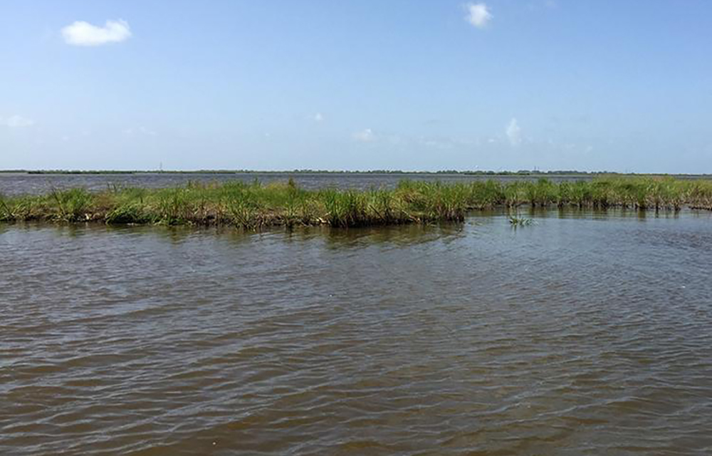 No Name Bayou in Louisiana