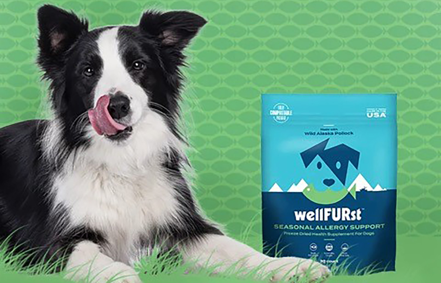 Trident debuts pet supplement brand wellFURst, featuring Alaska