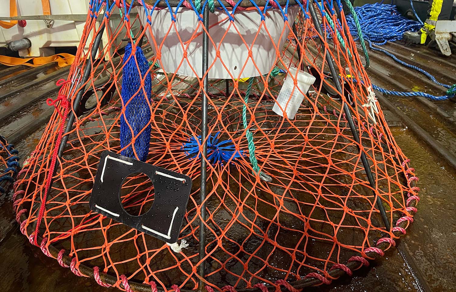 Research finds crab pot escape hatch could boost snow crab sustainability