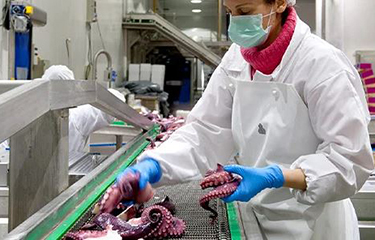 A Discefa production line.