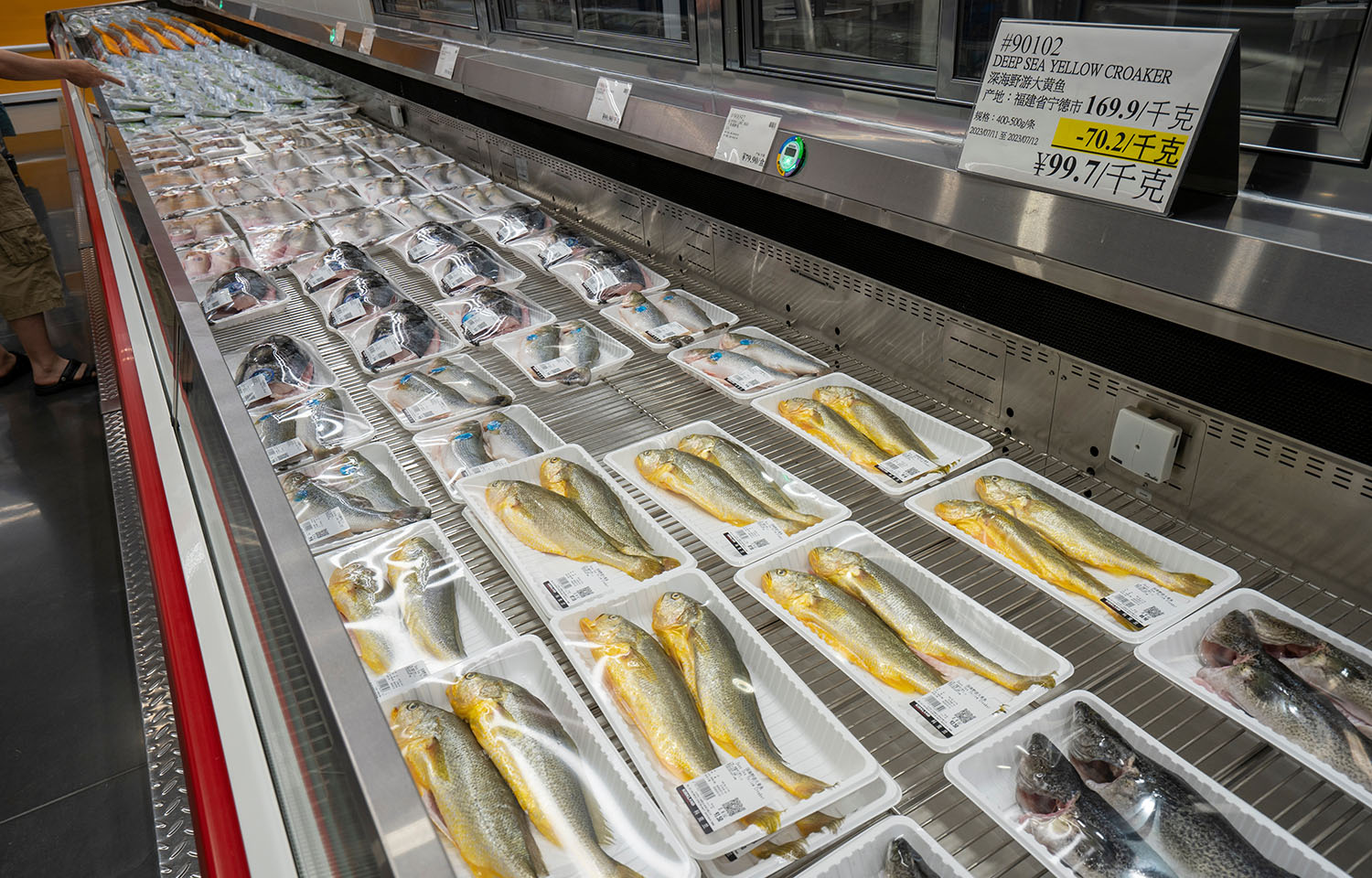 Yellow croaker for sale in Ningbo, China